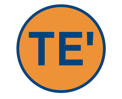 TE' Boutique Logo