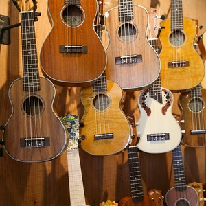 ukelele lessons