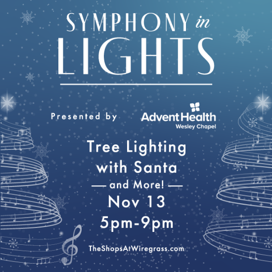 Symphony in Lights Tree Lighting