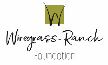 wg foundation