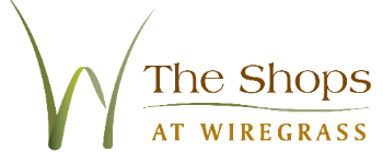 wg logo