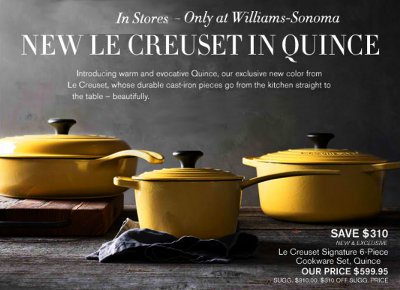 Cheap Business Card 2013 on 2013 Williams Sonoma Credit Card Discount 2013 Scottsdale Fashion