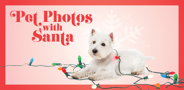 Pet Photos with Santa
