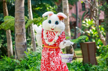 Image result for Hawaii Easter bunny