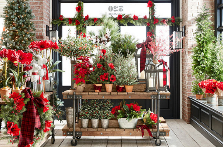 Victoria Gardens Holiday Botanicals Pottery Barn Pottery Barn